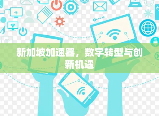 新加坡加速器,数字转型与创新机遇