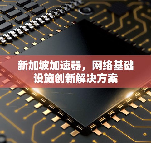 新加坡加速器,网络基础设施创新解决方案