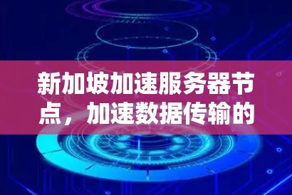 新加坡加速服务器节点,加速数据传输的高效解决方案