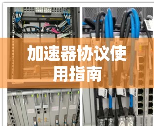 加速器协议使用指南