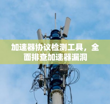加速器协议检测工具,全面排查加速器漏洞