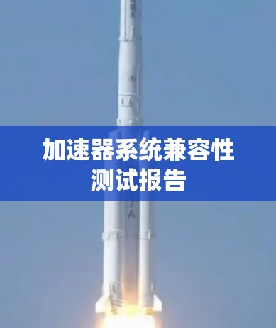 加速器系统兼容性测试报告