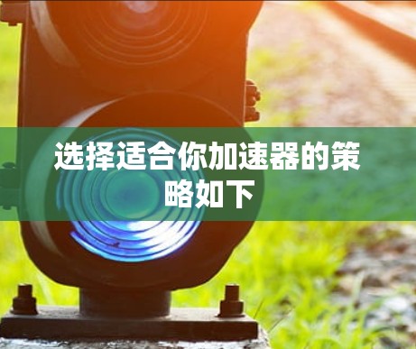 选择适合你加速器的策略如下